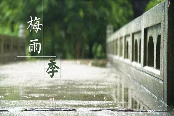 梅雨季節效果圖