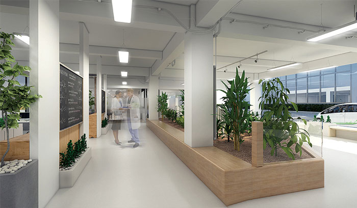 創客空間辦公室過道綠植裝修設計效果圖